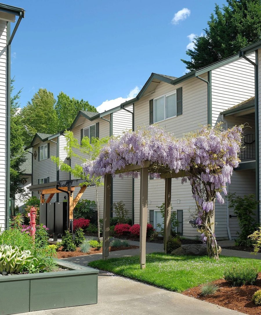 Garden courtyard with wisteria pergola